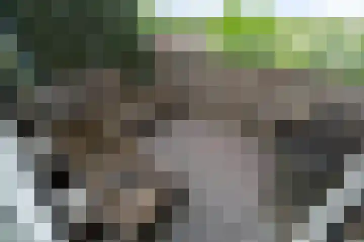 Gravin Juliana van Stolberglaan 941 Leidschendam thumbnail 23