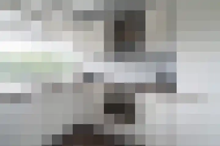 Gravin Juliana van Stolberglaan 941 Leidschendam thumbnail 4