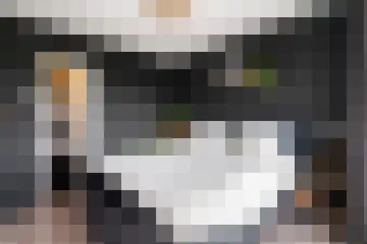 Gravin Juliana van Stolberglaan 941 Leidschendam thumbnail 5