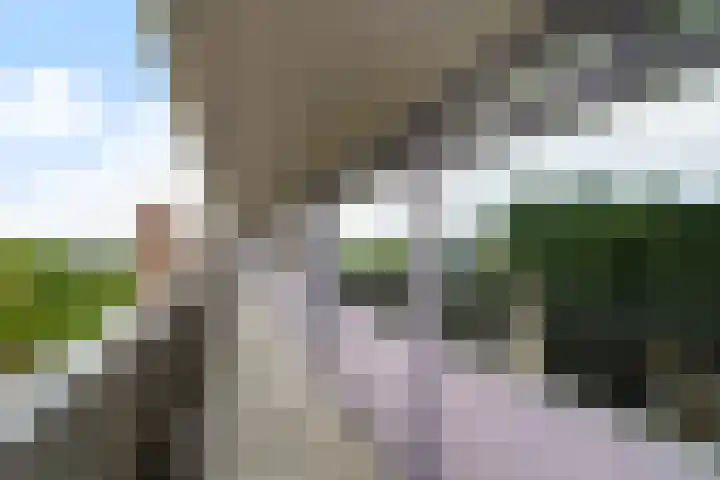 Gravin Juliana van Stolberglaan 941 Leidschendam thumbnail 6