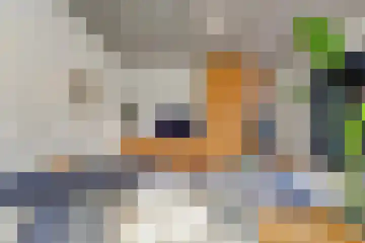 Gravin Machteldlaan 4 Den Haag thumbnail 23