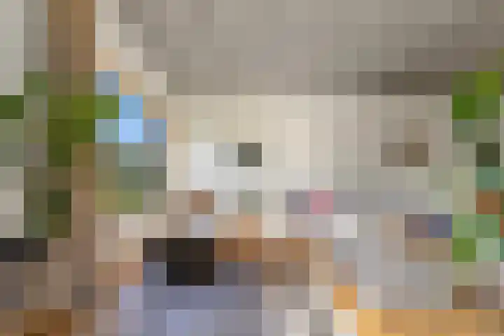 Gravin Machteldlaan 4 Den Haag thumbnail 25