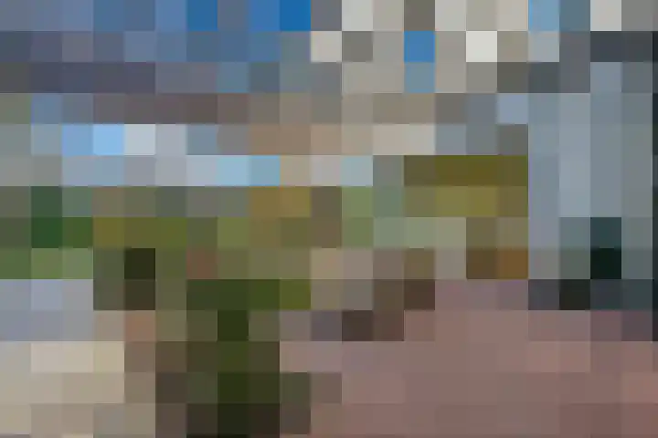 Gravin Machteldlaan 4 Den Haag thumbnail 29