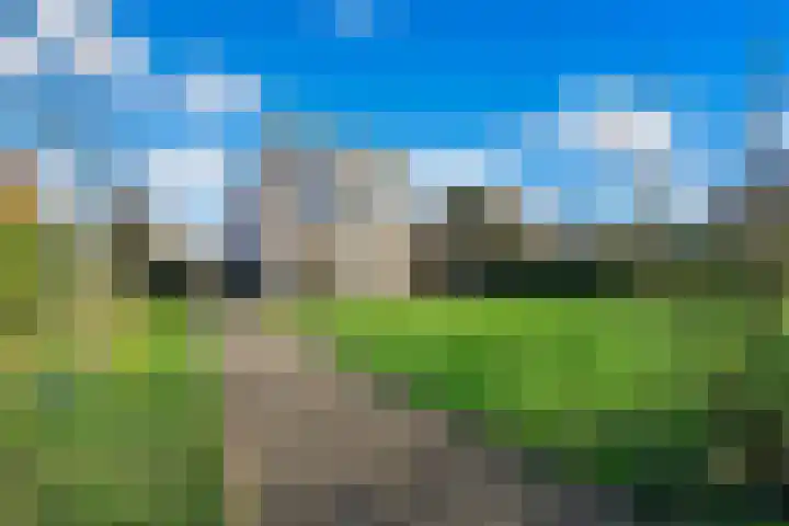 Gravin Machteldlaan 4 Den Haag thumbnail 33