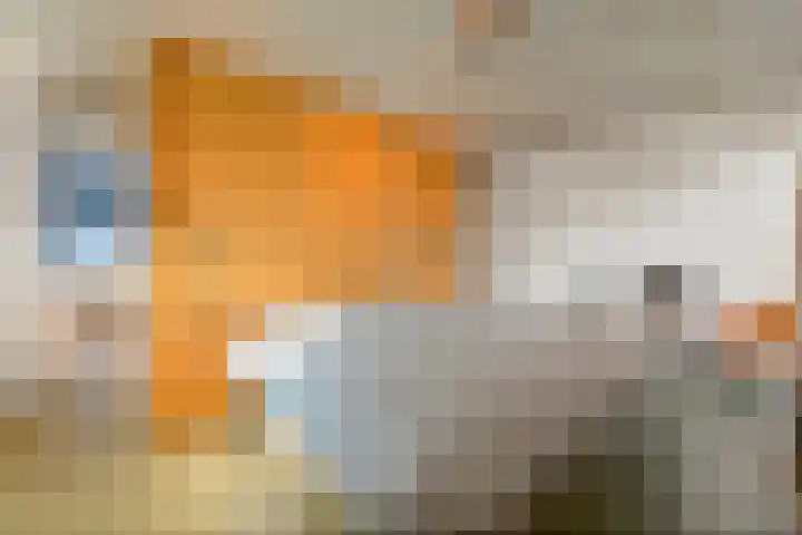 Gravin Machteldlaan 4 Den Haag thumbnail 45