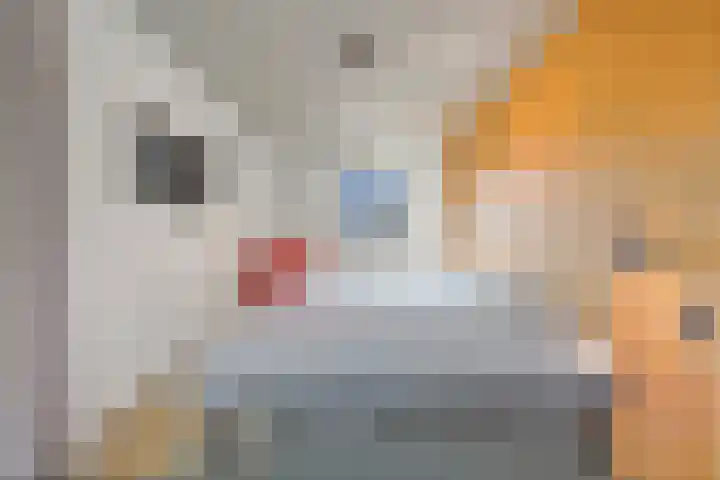 Gravin Machteldlaan 4 Den Haag thumbnail 46