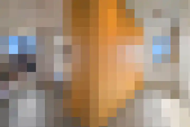 Gravin Machteldlaan 4 Den Haag thumbnail 47