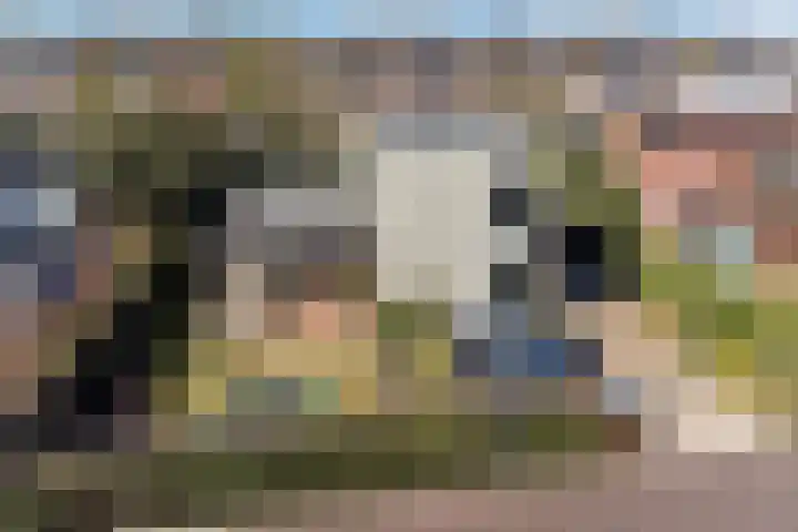 Gravin Machteldlaan 4 Den Haag thumbnail 5