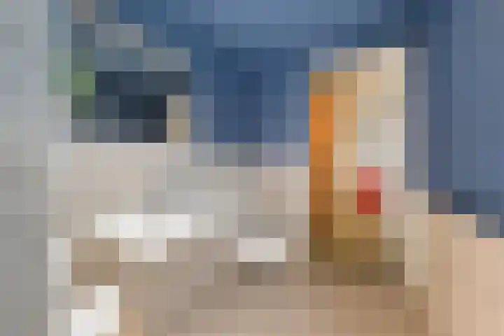 Gravin Machteldlaan 4 Den Haag thumbnail 51