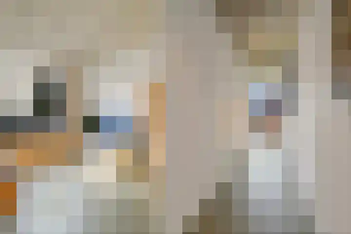 Gravin Machteldlaan 4 Den Haag thumbnail 55