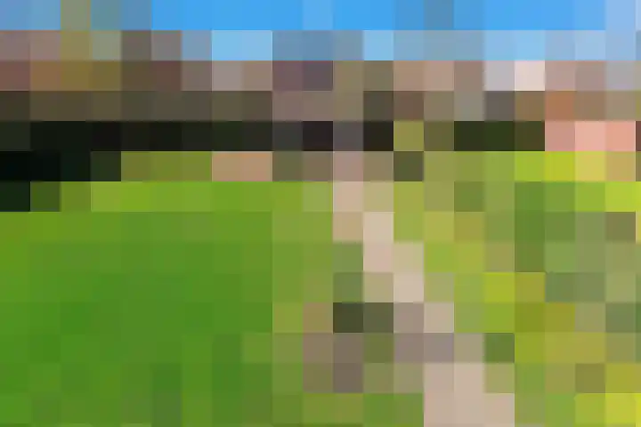 Gravin Machteldlaan 4 Den Haag thumbnail 65