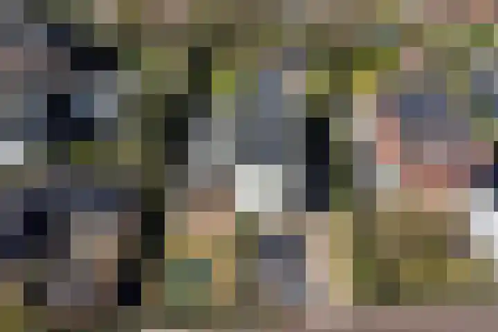 Gravin Machteldlaan 4 Den Haag thumbnail 69
