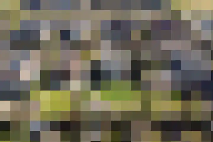 Gravin Machteldlaan 4 Den Haag thumbnail 70