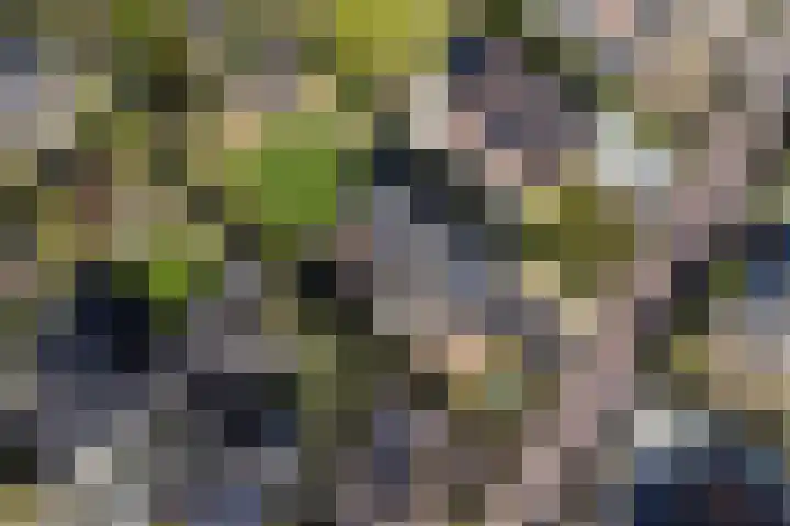 Gravin Machteldlaan 4 Den Haag thumbnail 72