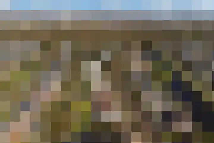 Gravin Machteldlaan 4 Den Haag thumbnail 73