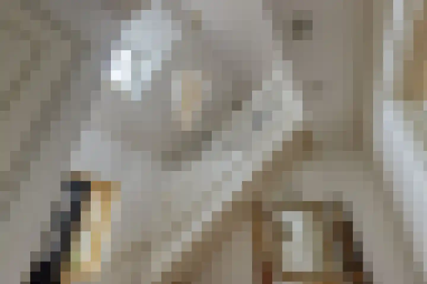 Gravin Machteldlaan 9 Den Haag thumbnail 28