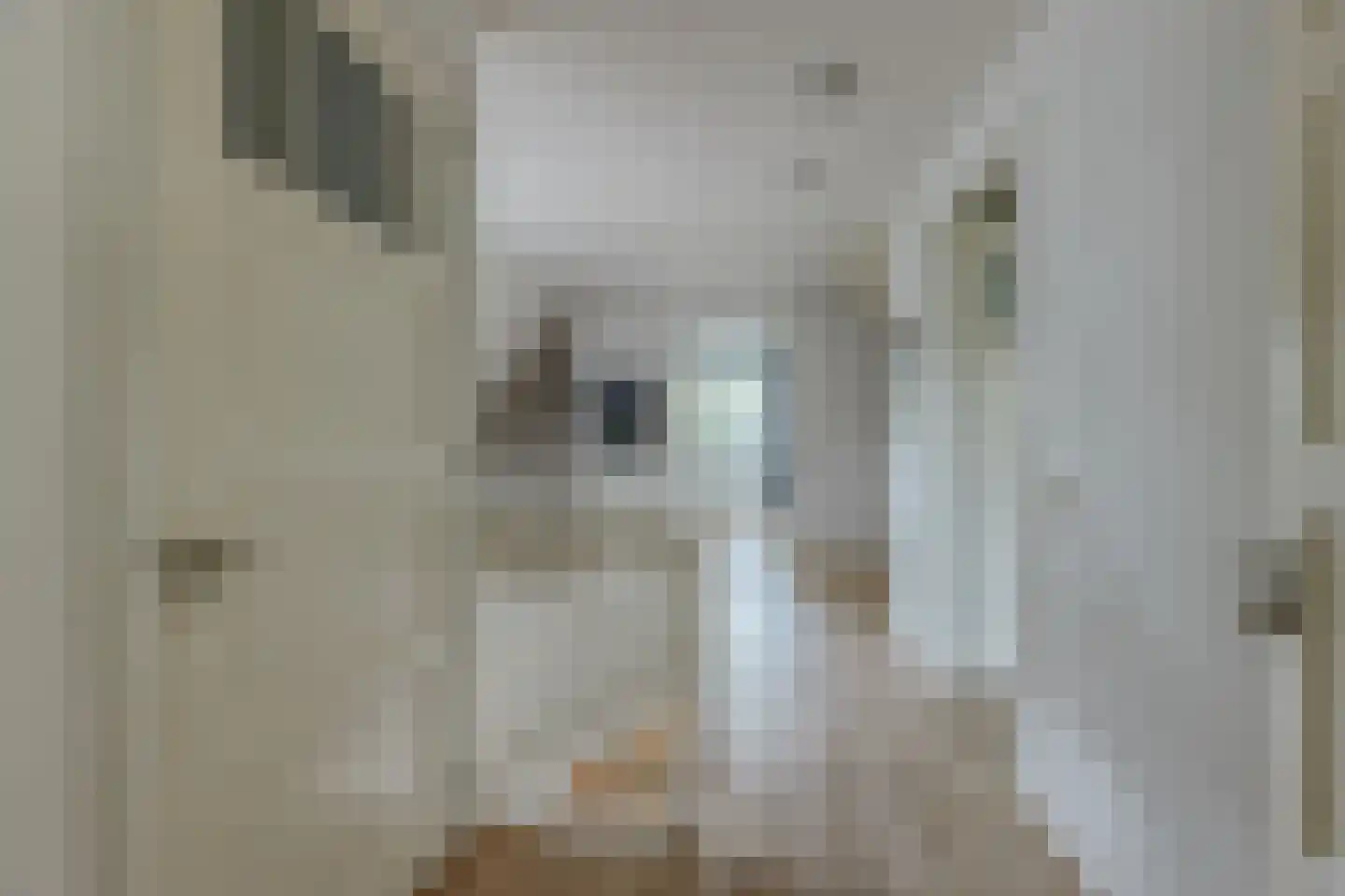 Gravin Machteldlaan 9 Den Haag thumbnail 36