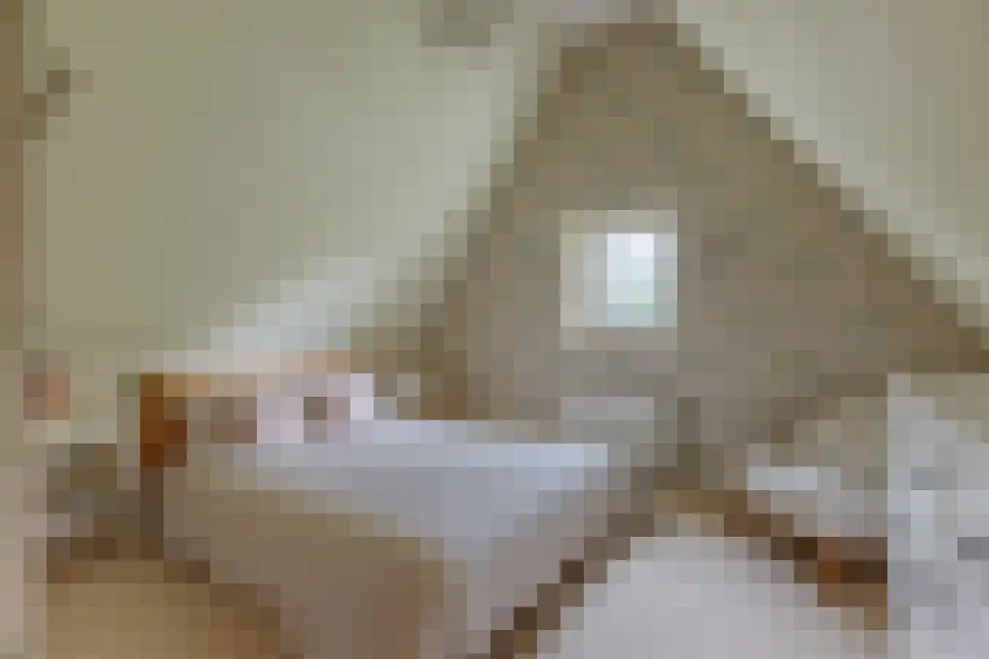 Gravin Machteldlaan 9 Den Haag thumbnail 50