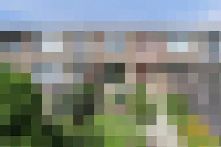 Gravin Machteldplantsoen 34 's-Gravenzande thumbnail 19