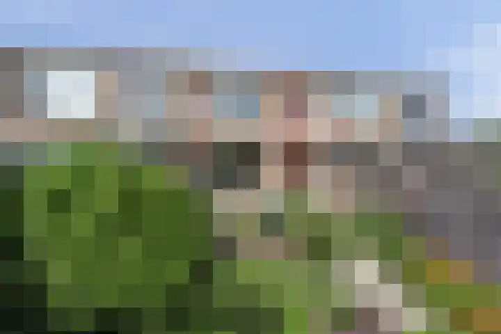 Gravin Machteldplantsoen 34 's-Gravenzande thumbnail 20