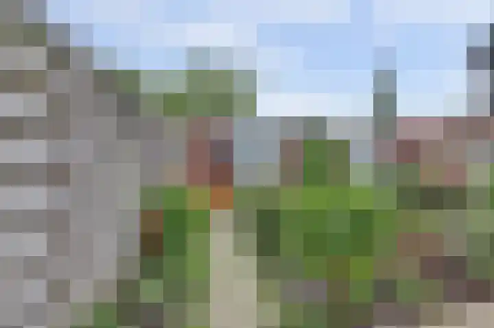 Gravin Machteldplantsoen 34 's-Gravenzande thumbnail 21