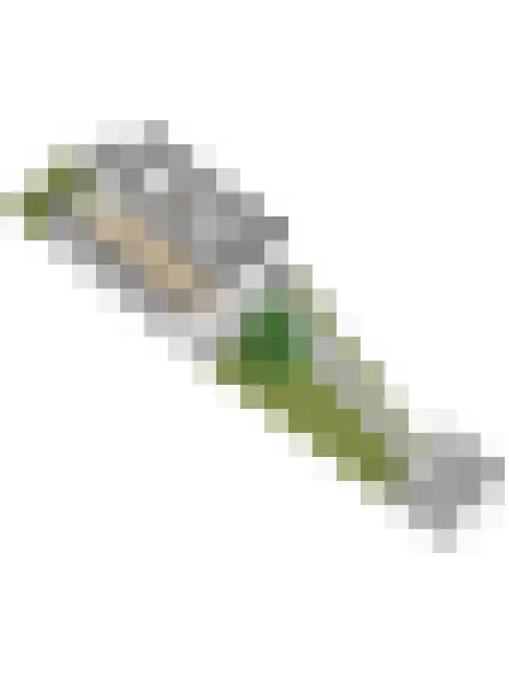 Gravin Machteldplantsoen 34 's-Gravenzande thumbnail 35