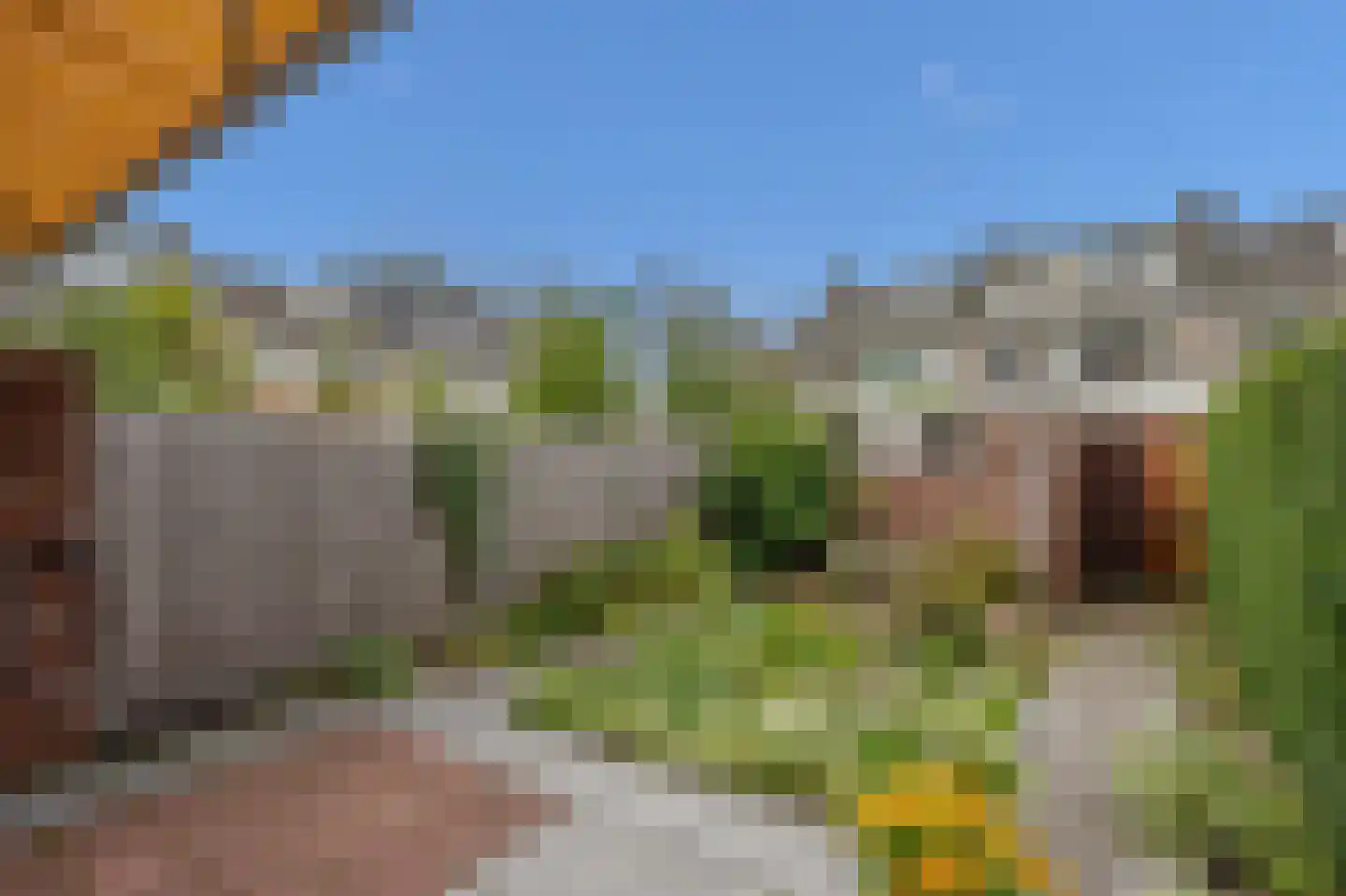 Gravin Marialaan 14 Leidschendam thumbnail 19