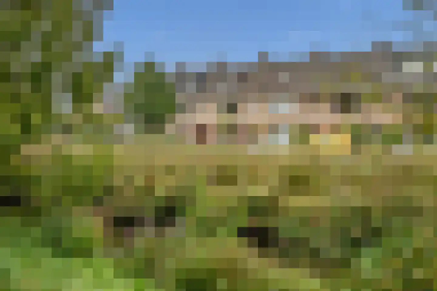 Gravin Marialaan 14 Leidschendam thumbnail 8
