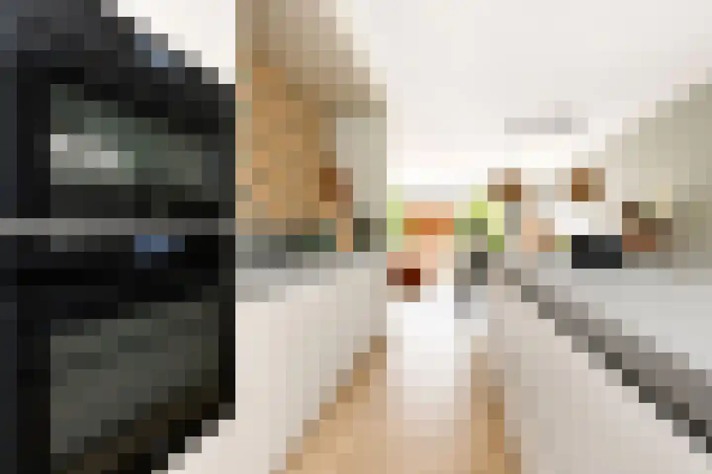 Gravin Marialaan 6 Leidschendam thumbnail 15