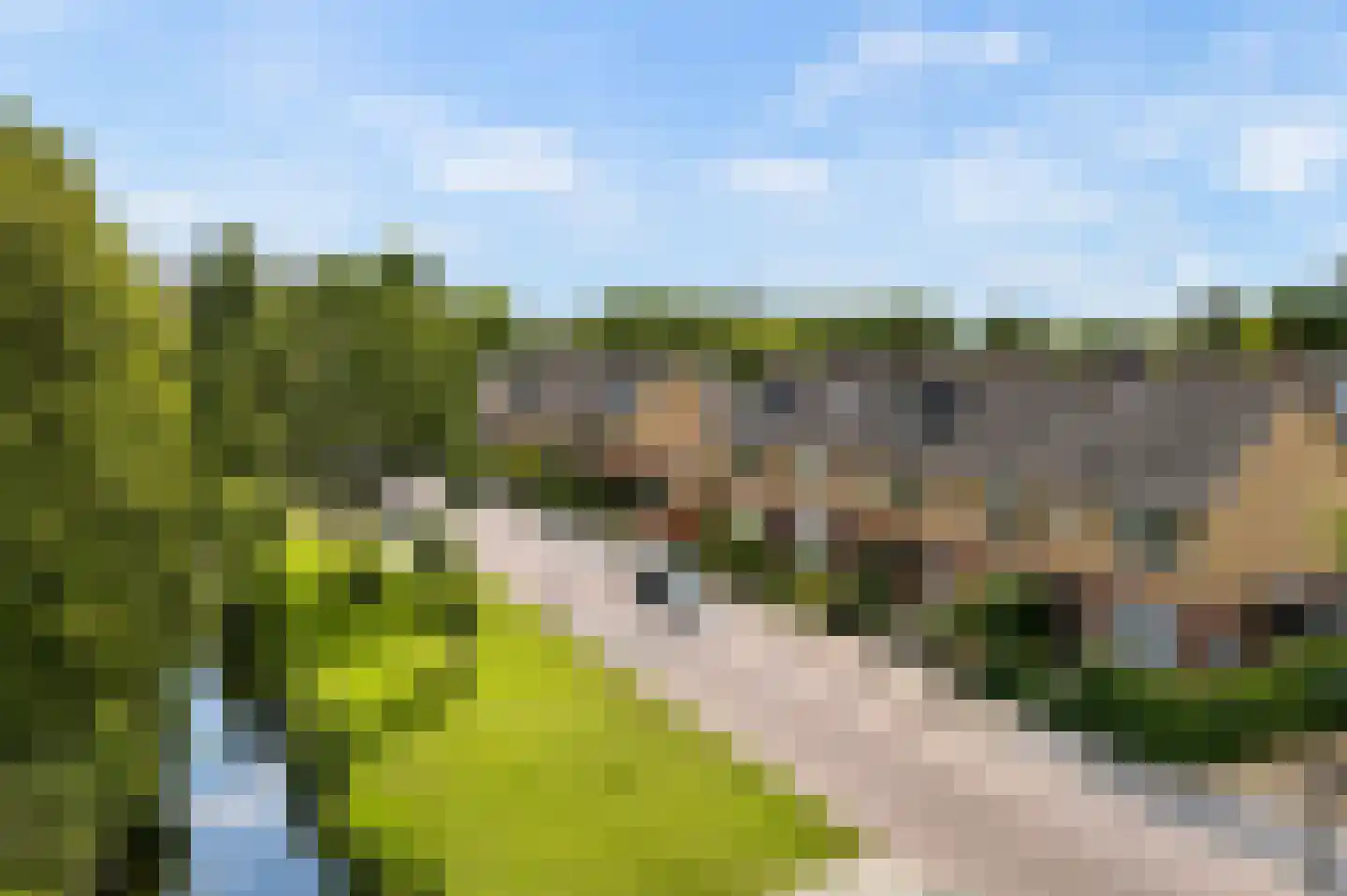 Gravin Marialaan 6 Leidschendam thumbnail 38