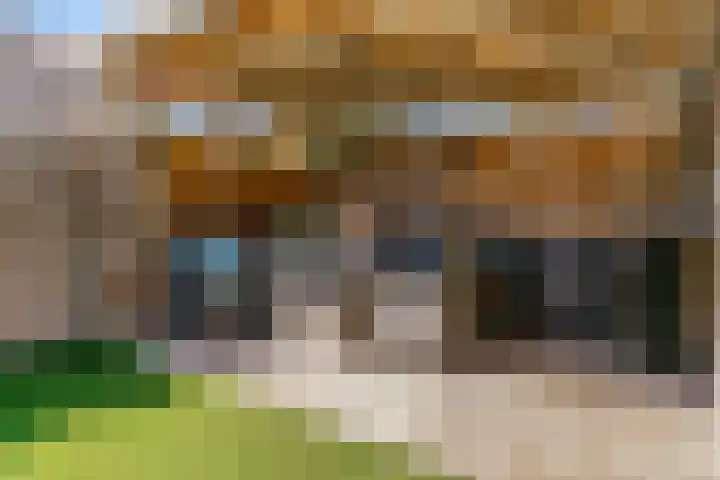 Gravin Mariastraat 2 Nieuwerbrug aan den Rijn thumbnail 32