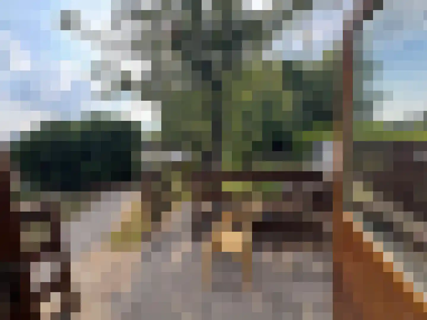 Gravin Mariaweg 1 Terneuzen thumbnail 13