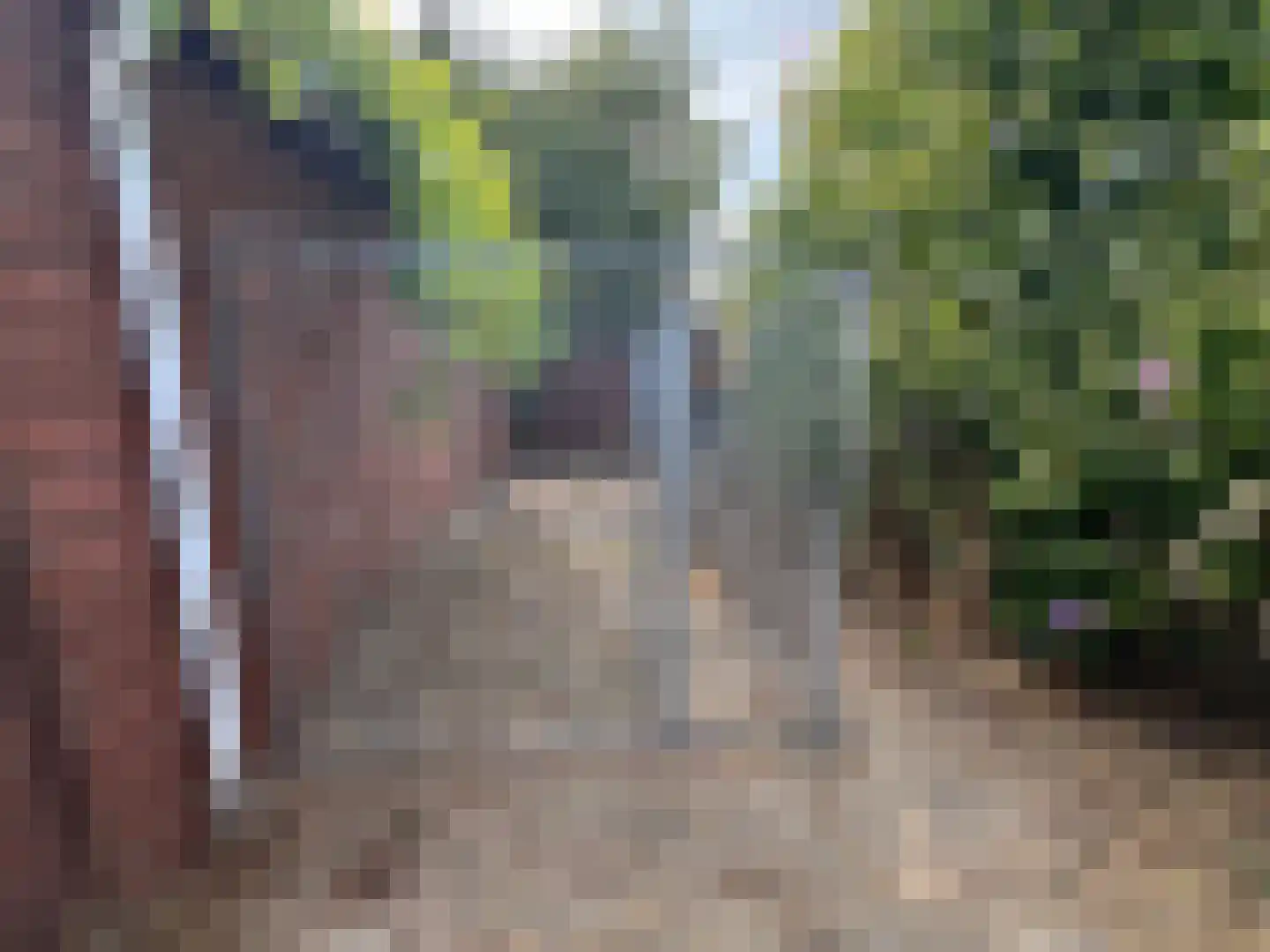 Gravin Mariaweg 1 Terneuzen thumbnail 21