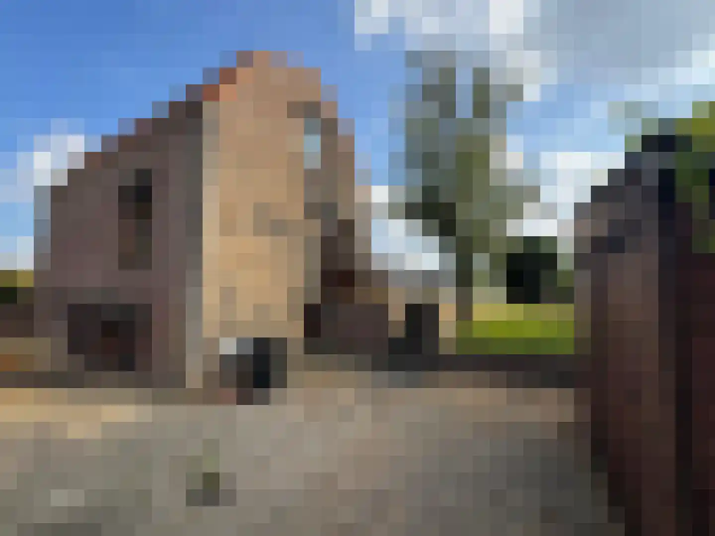 Gravin Mariaweg 1 Terneuzen thumbnail 25