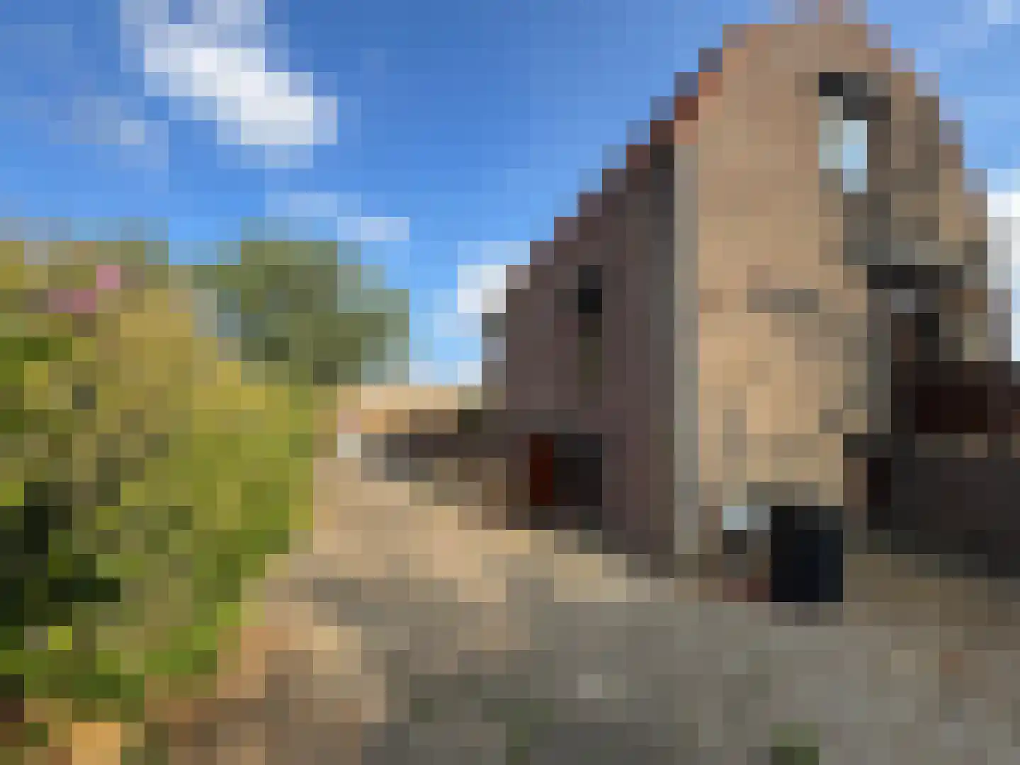 Gravin Mariaweg 1 Terneuzen thumbnail 26