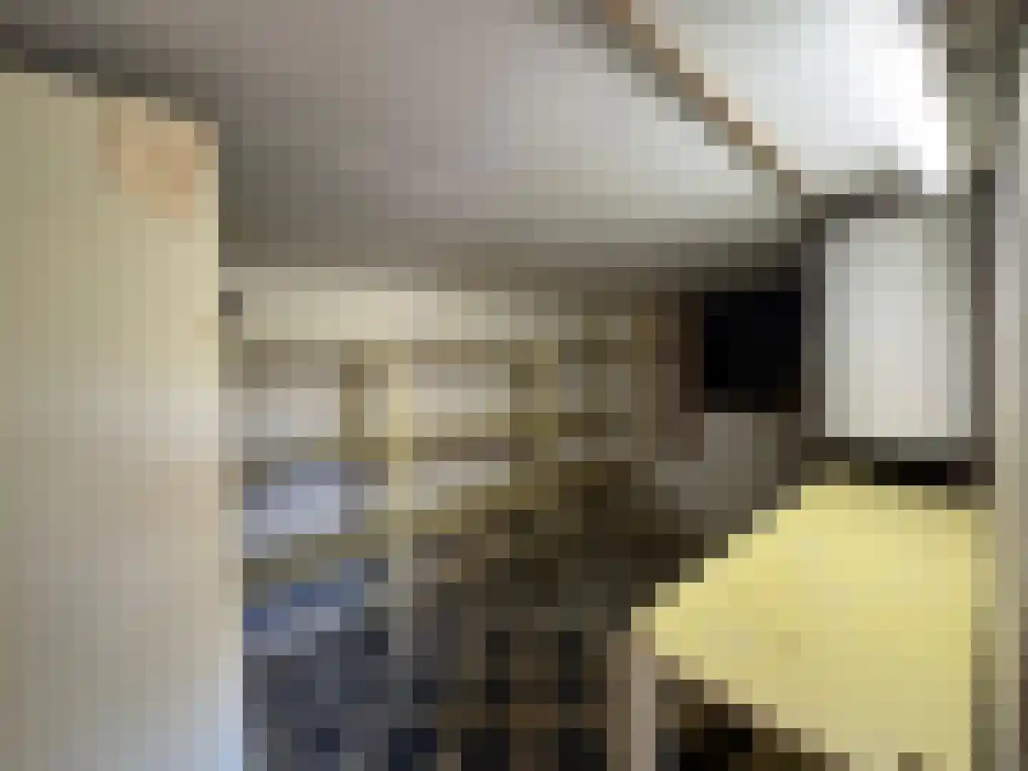 Gravin Mariaweg 1 Terneuzen thumbnail 31