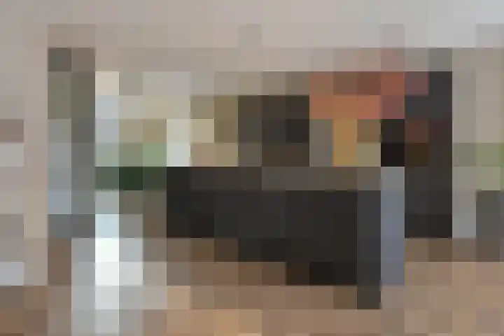 Gravin Othildehof 13 Den Haag thumbnail 12