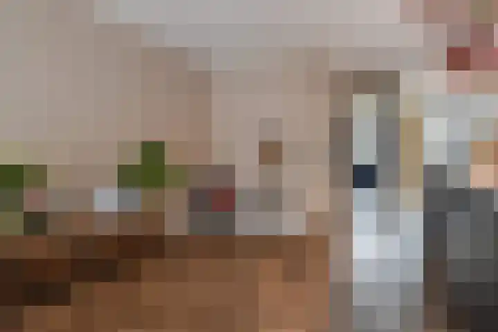 Gravin Othildehof 13 Den Haag thumbnail 13