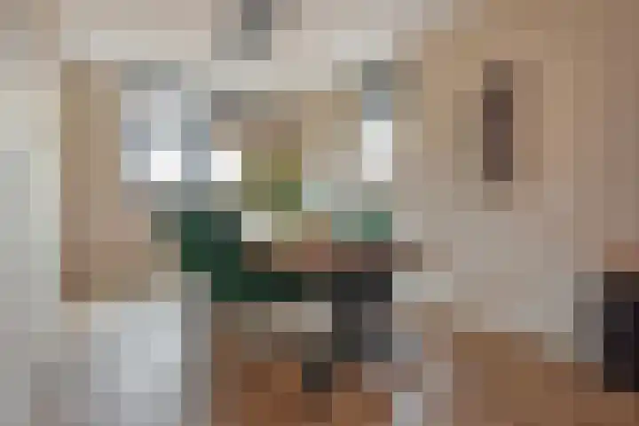 Gravin Othildehof 13 Den Haag thumbnail 14