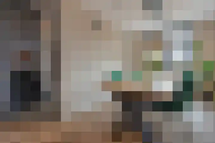 Gravin Othildehof 13 Den Haag thumbnail 15