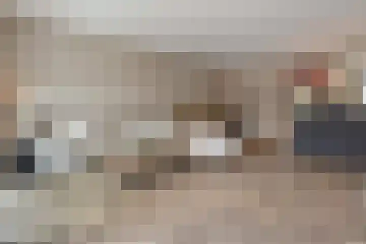 Gravin Othildehof 13 Den Haag thumbnail 18