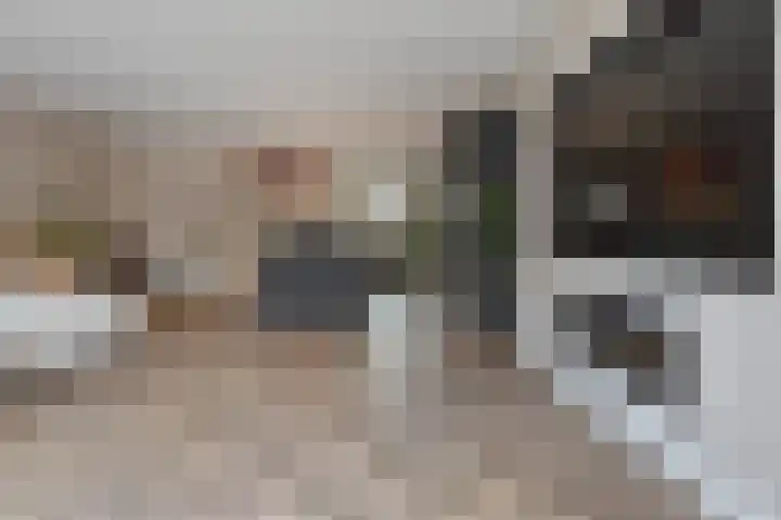 Gravin Othildehof 13 Den Haag thumbnail 19