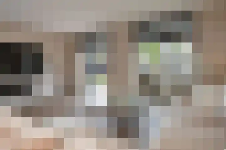 Gravin Othildehof 13 Den Haag thumbnail 20