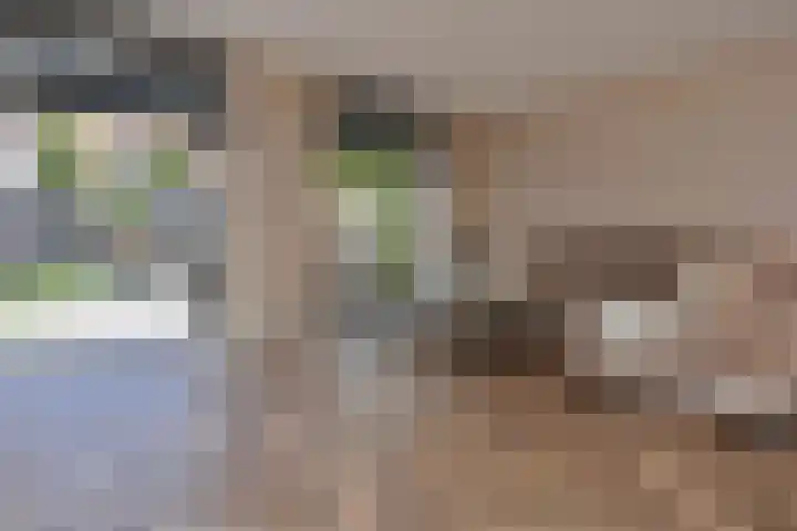 Gravin Othildehof 13 Den Haag thumbnail 22