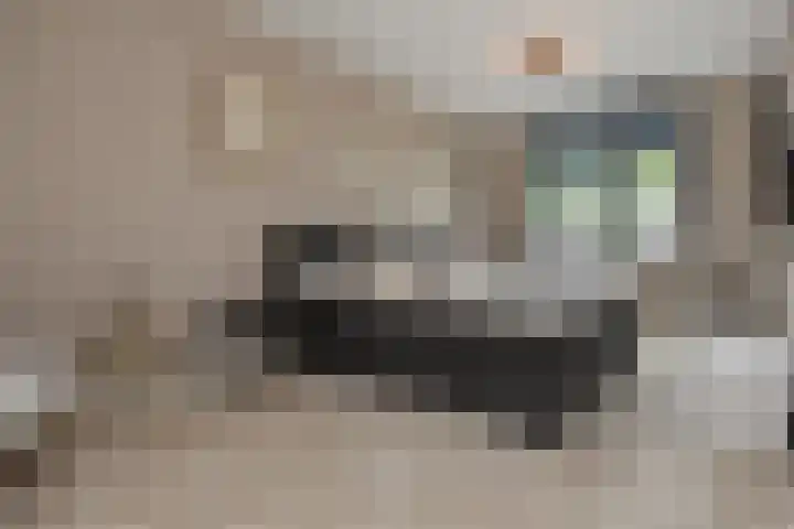 Gravin Othildehof 13 Den Haag thumbnail 25
