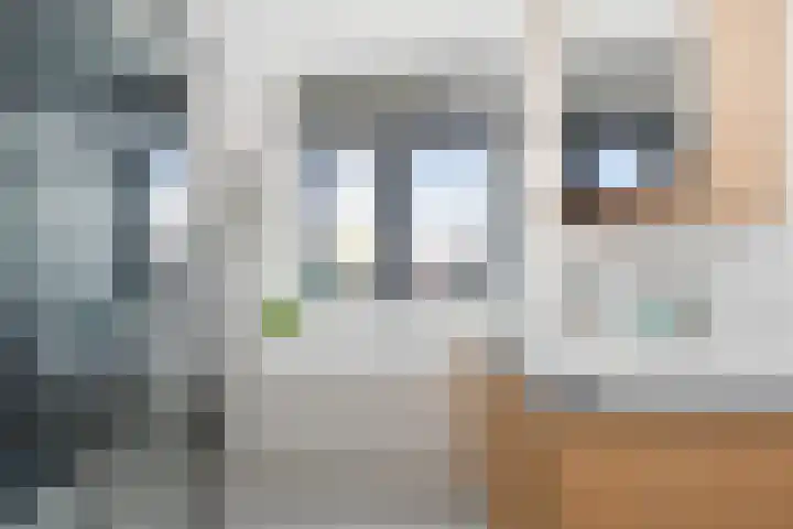 Gravin Othildehof 13 Den Haag thumbnail 29