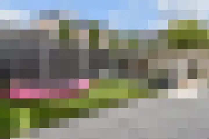 Gravin Othildehof 13 Den Haag thumbnail 39