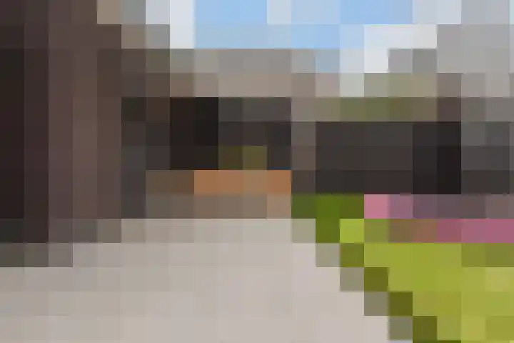 Gravin Othildehof 13 Den Haag thumbnail 41