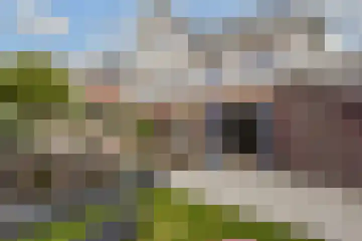Gravin Othildehof 13 Den Haag thumbnail 42