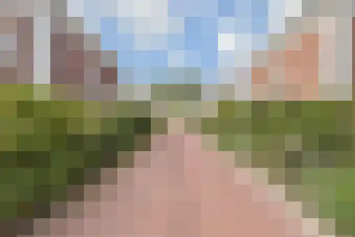 Gravin Othildehof 13 Den Haag thumbnail 48